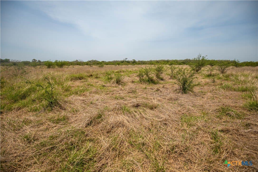 32.56 acres in DeWitt County - photo 17