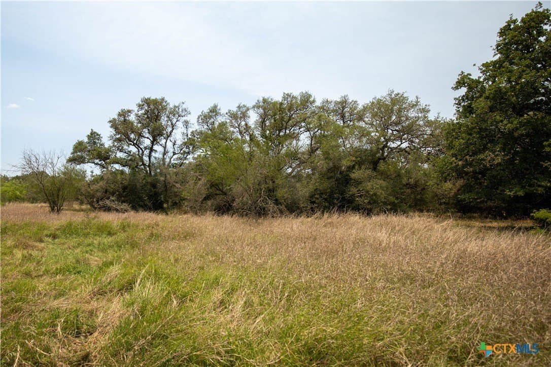 32.56 acres in DeWitt County - photo 19