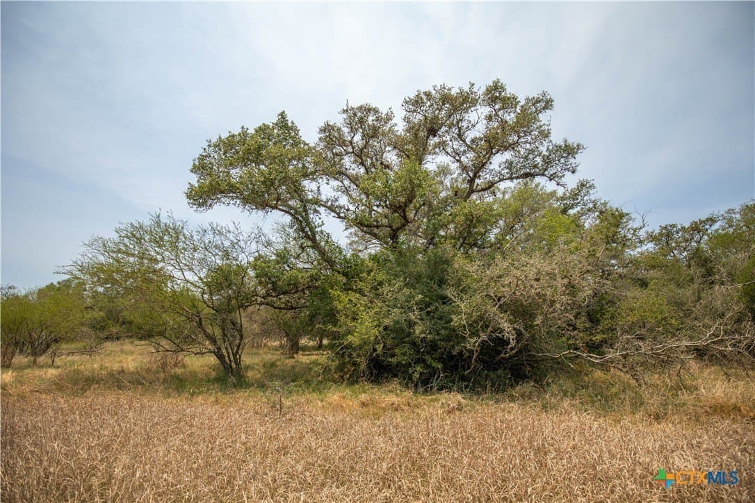 32.56 acres in DeWitt County - photo 21