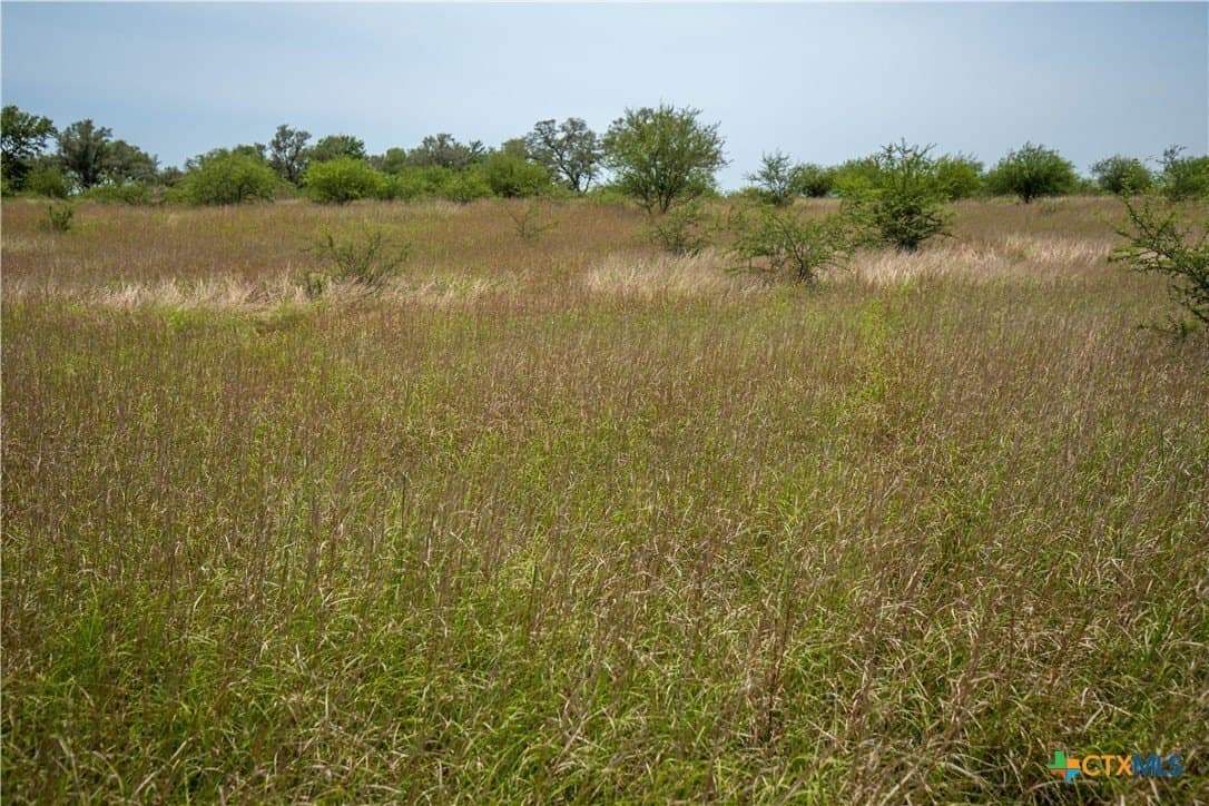 32.56 acres in DeWitt County - photo 40