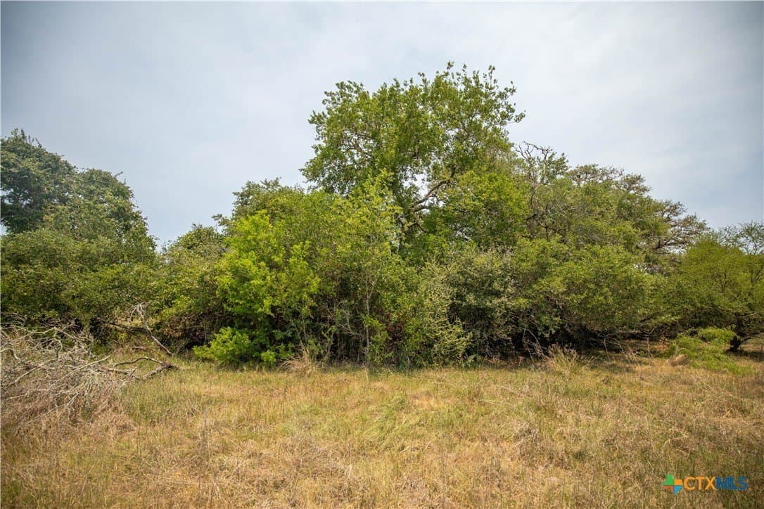 32.56 acres in DeWitt County - photo 25