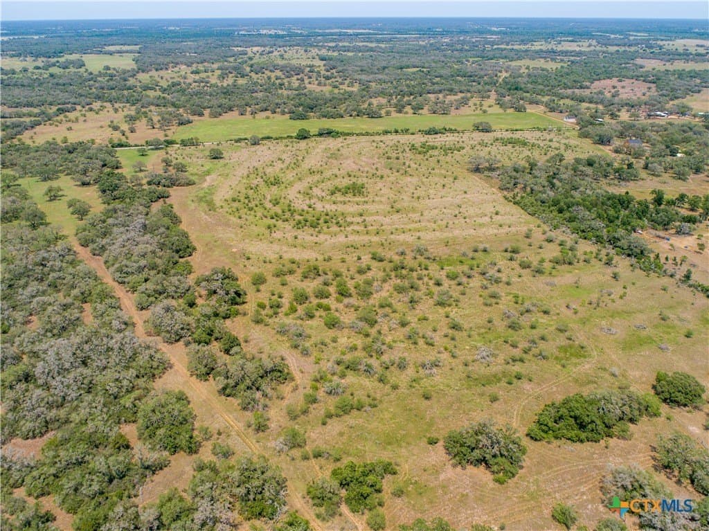 32.56 acres in DeWitt County gallery image 4