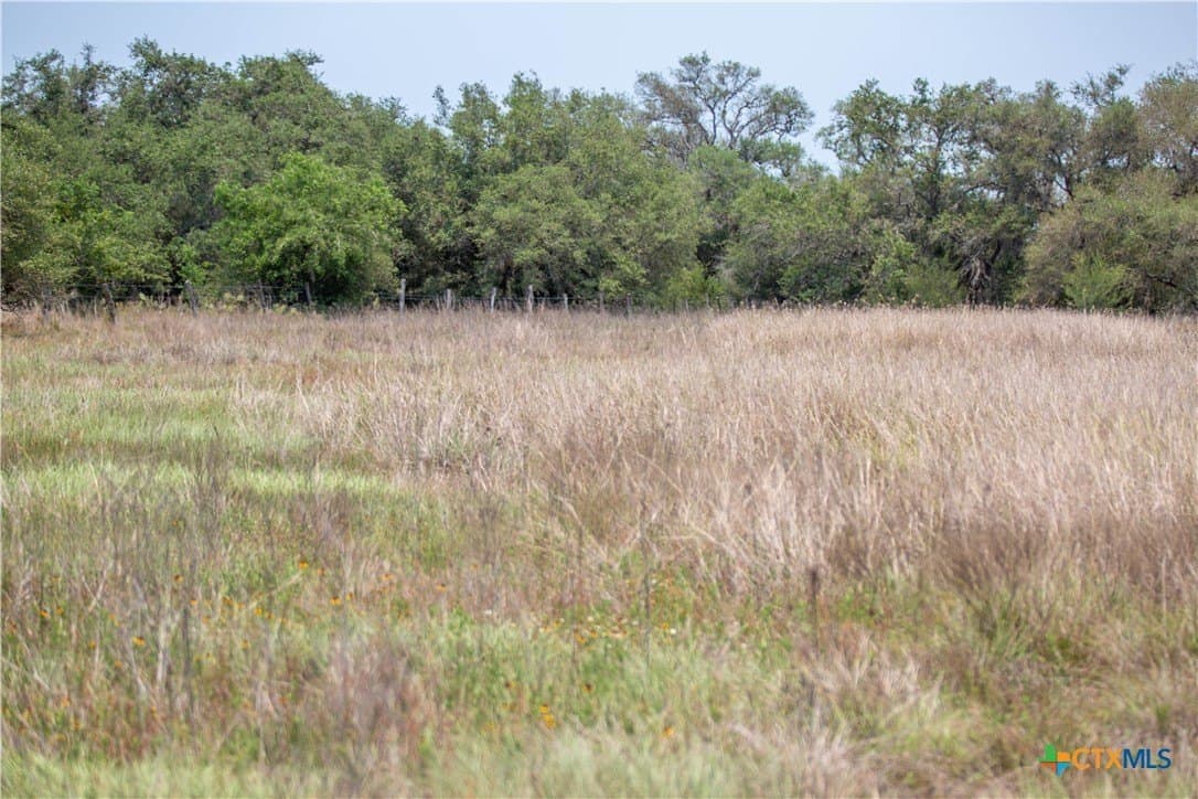 32.56 acres in DeWitt County - photo 41