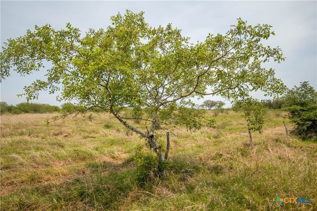 32.56 acres in DeWitt County - photo 28