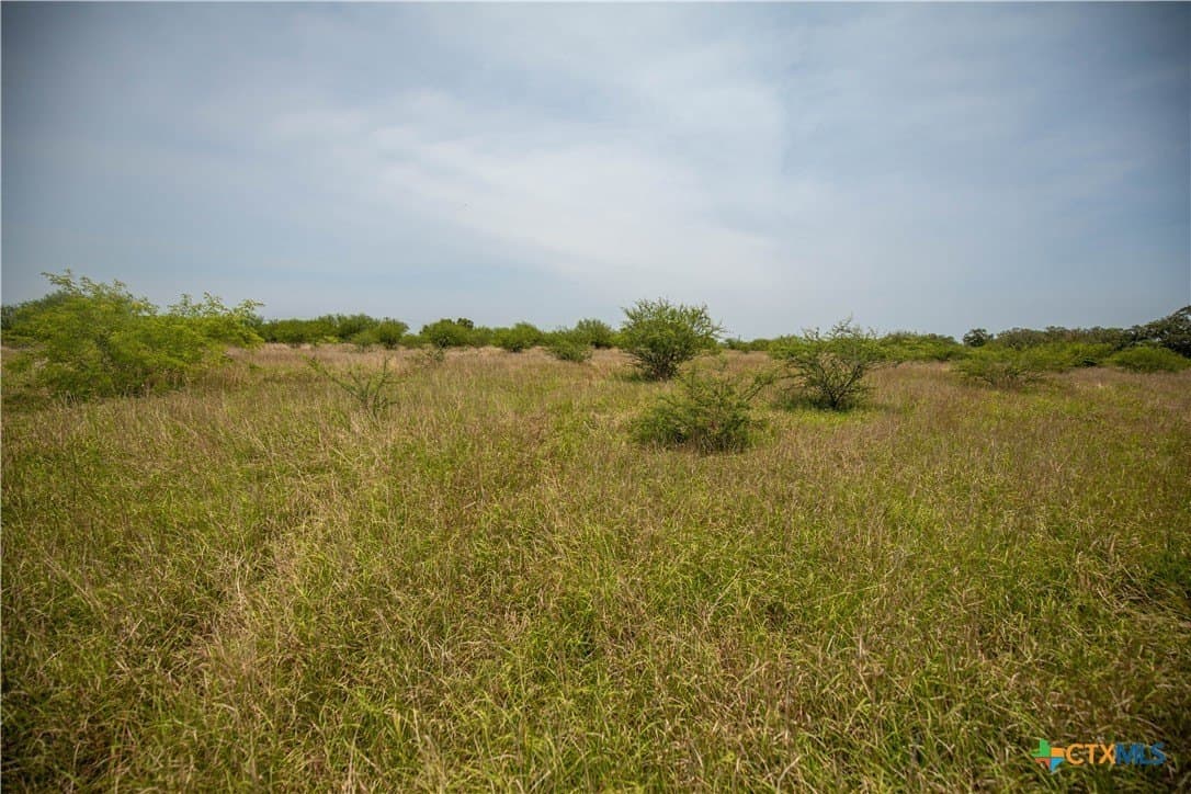 32.56 acres in DeWitt County - photo 15