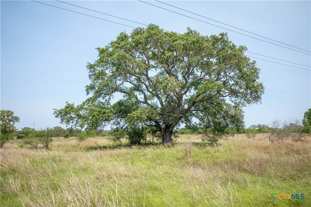 32.56 acres in DeWitt County - photo 36