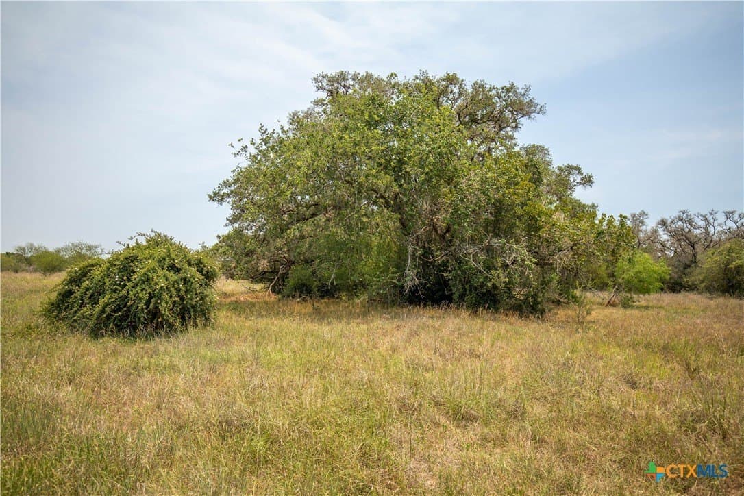 32.56 acres in DeWitt County - photo 22