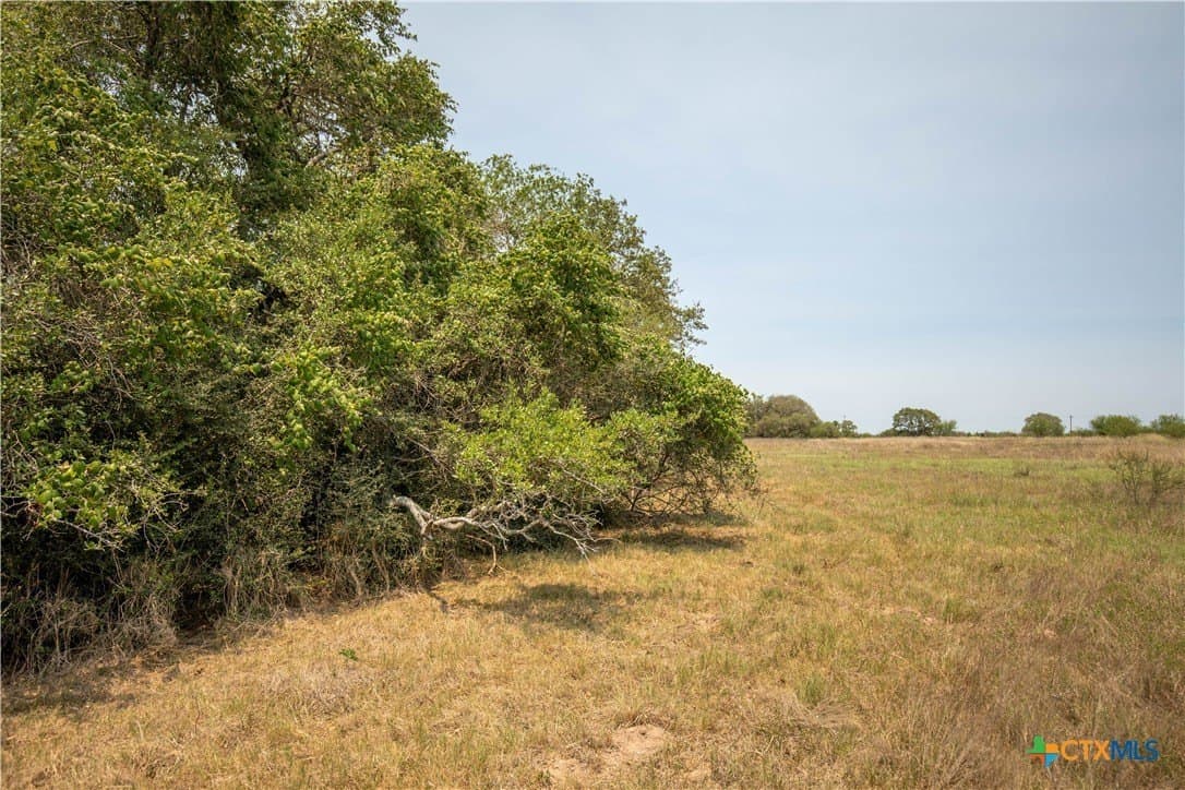32.56 acres in DeWitt County - photo 32