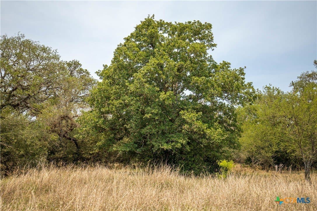 32.56 acres in DeWitt County - photo 20
