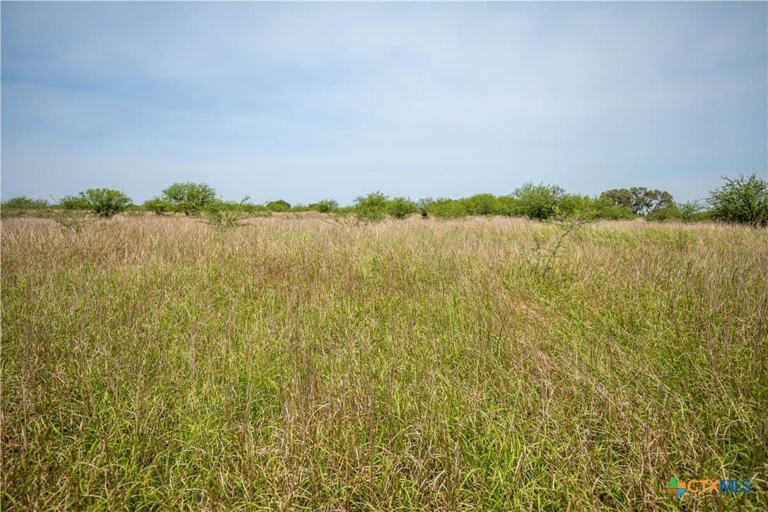 32.56 acres in DeWitt County - photo 12