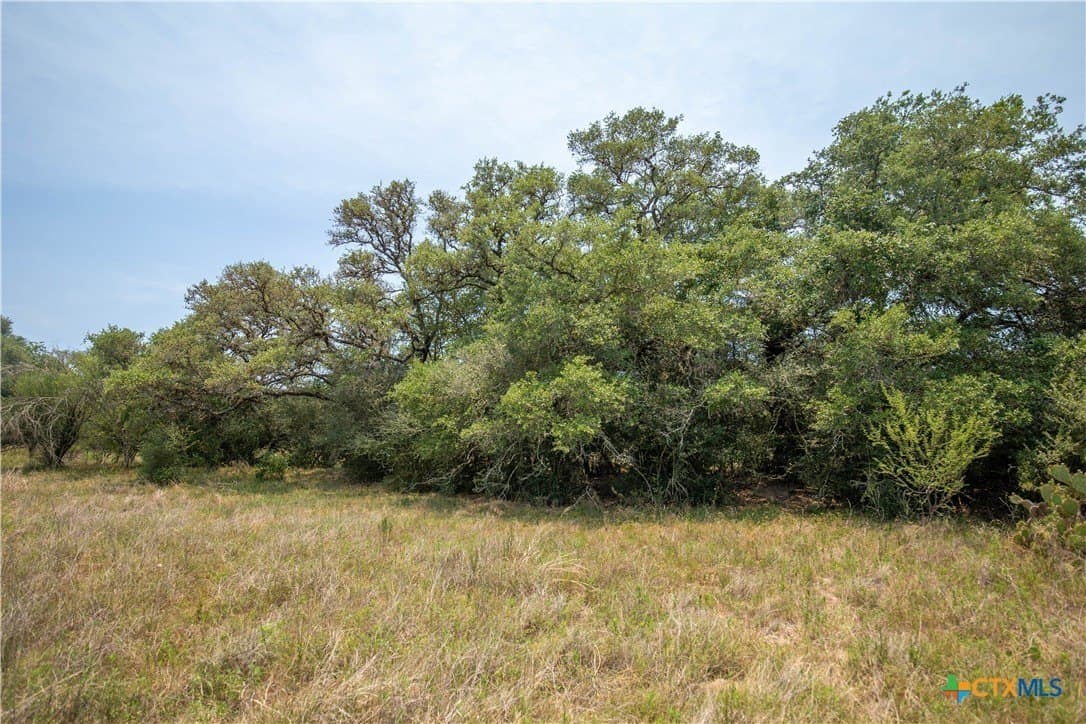 32.56 acres in DeWitt County - photo 27