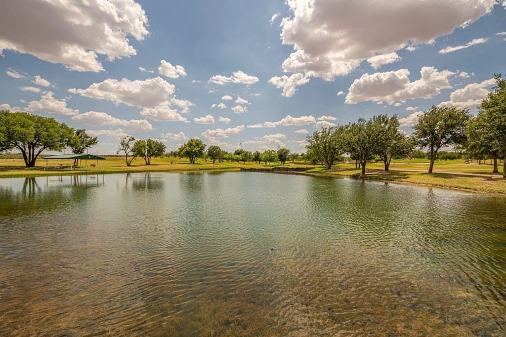 151 acres in Scurry County - photo 17