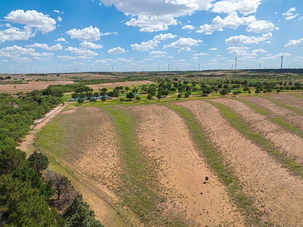 151 acres in Scurry County - photo 7