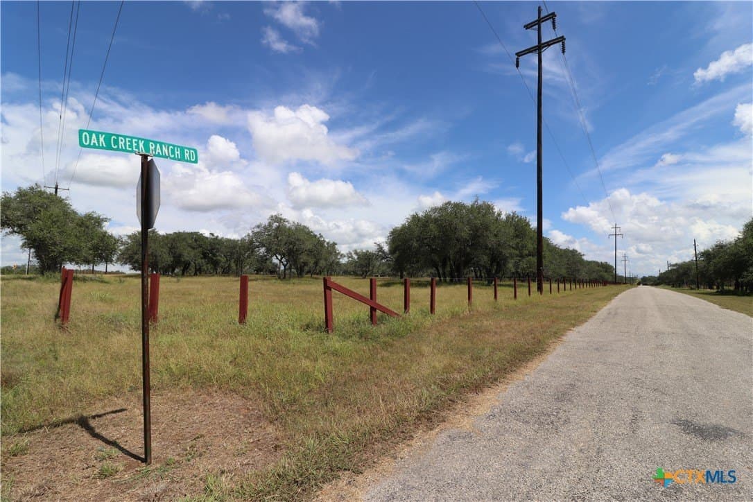 24 acres in Goliad County gallery image 4