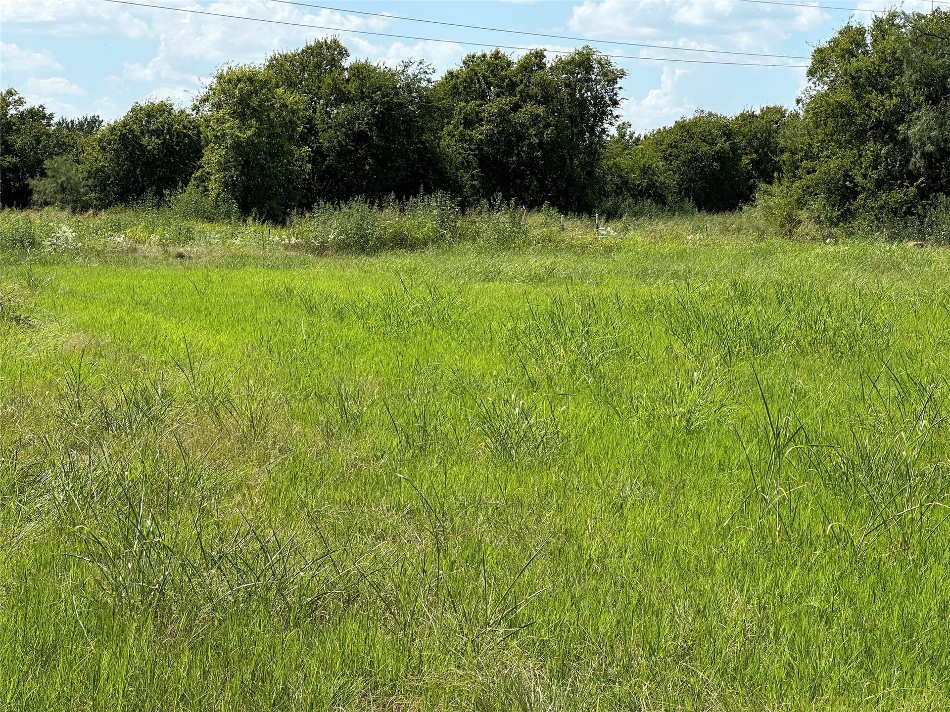 32.2 acres in Johnson County - photo 18