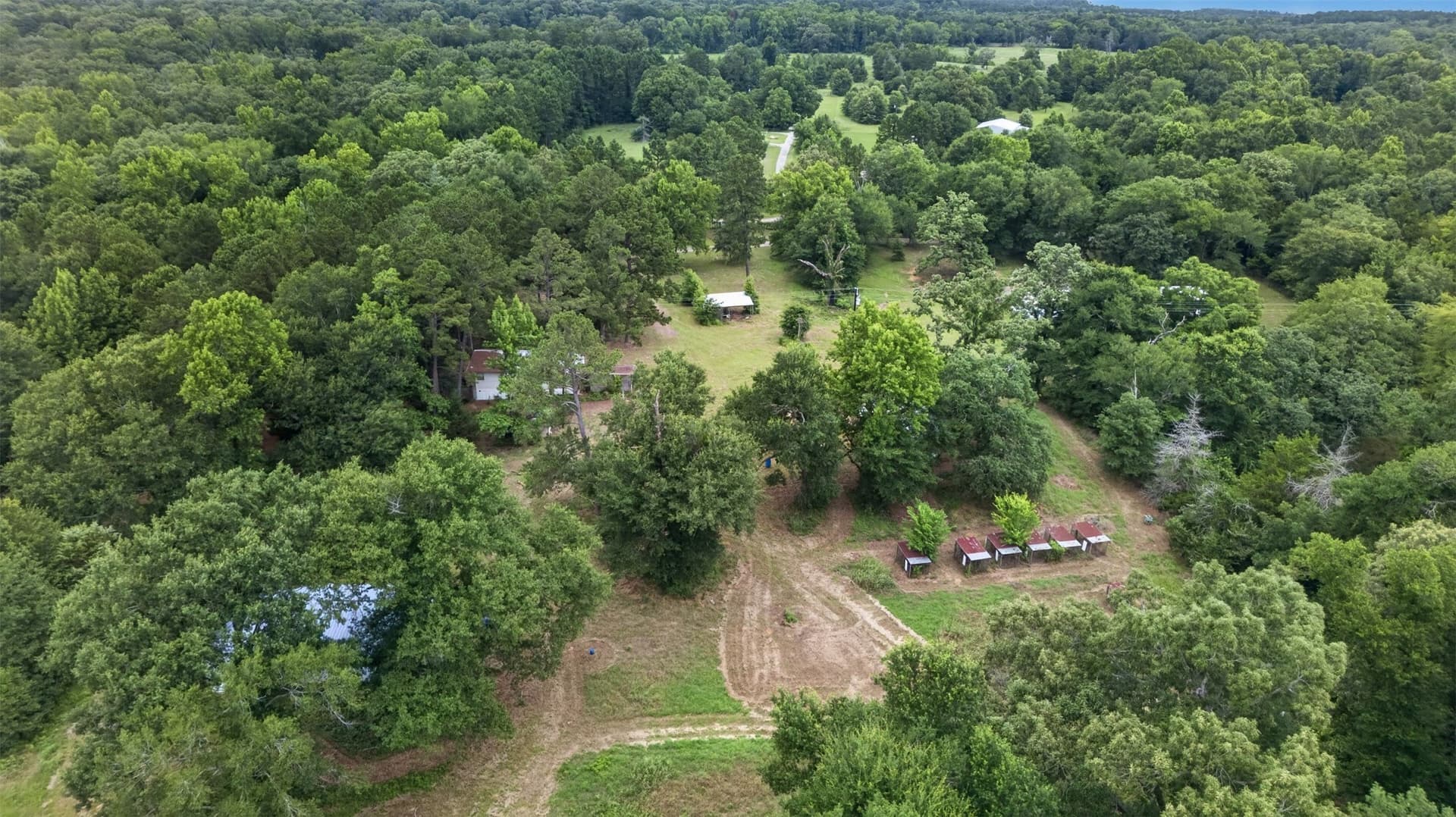 25.16 acres in Henderson County - photo 38