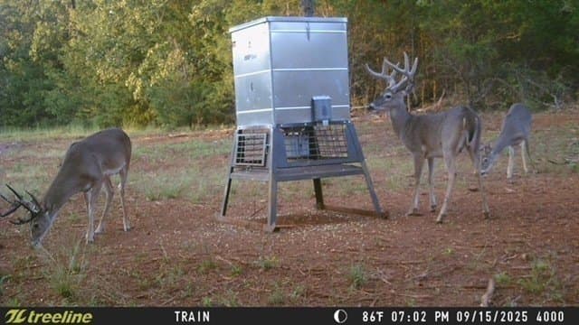 32 acres in Smith County - photo 37