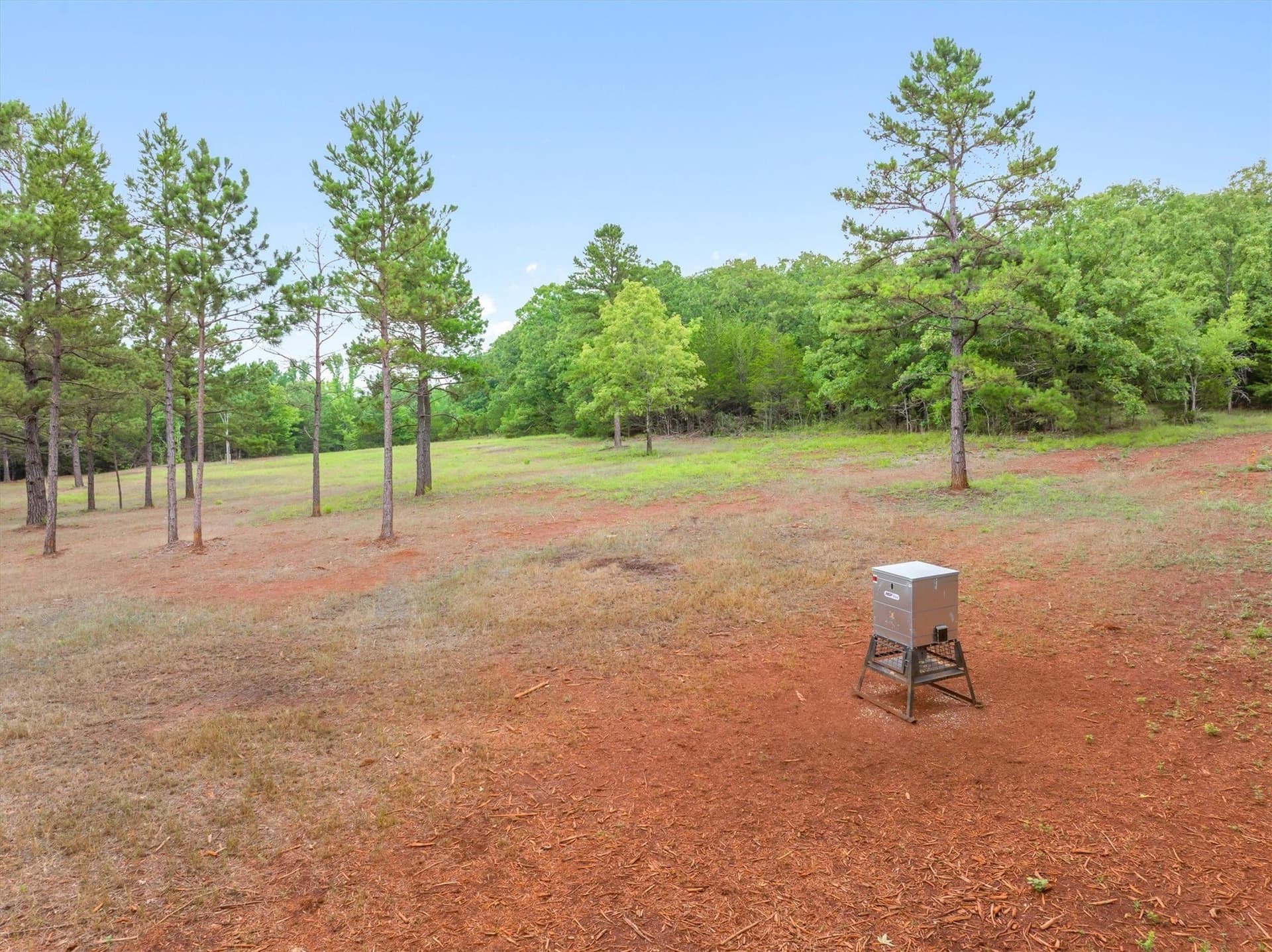 32 acres in Smith County - photo 12