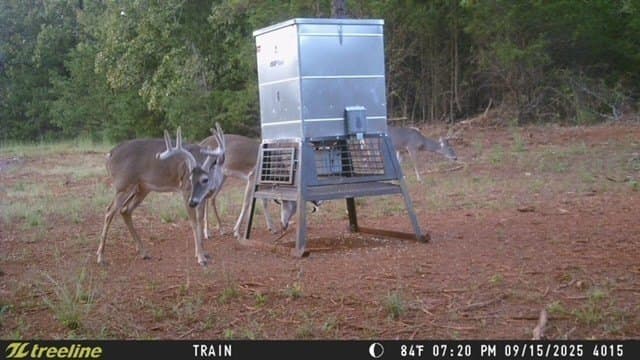 32 acres in Smith County - photo 15