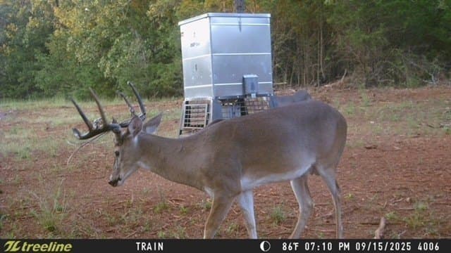 32 acres in Smith County - photo 14