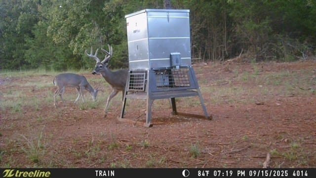 32 acres in Smith County - photo 36
