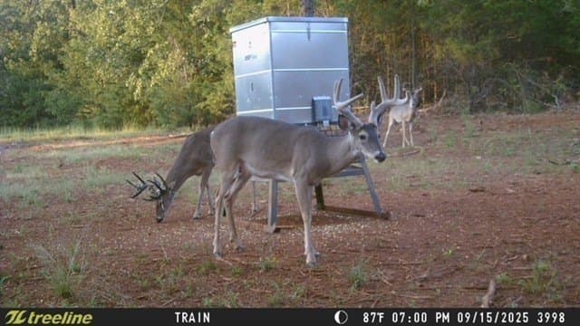 32 acres in Smith County - photo 38