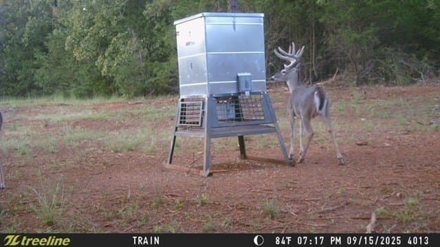 32 acres in Smith County - photo 35
