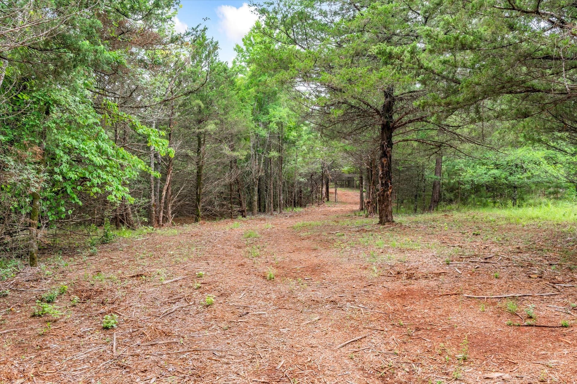 32 acres in Smith County - photo 17