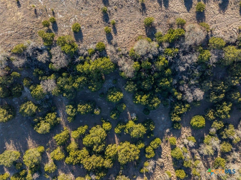 13.09 acres in Lampasas County - photo 20