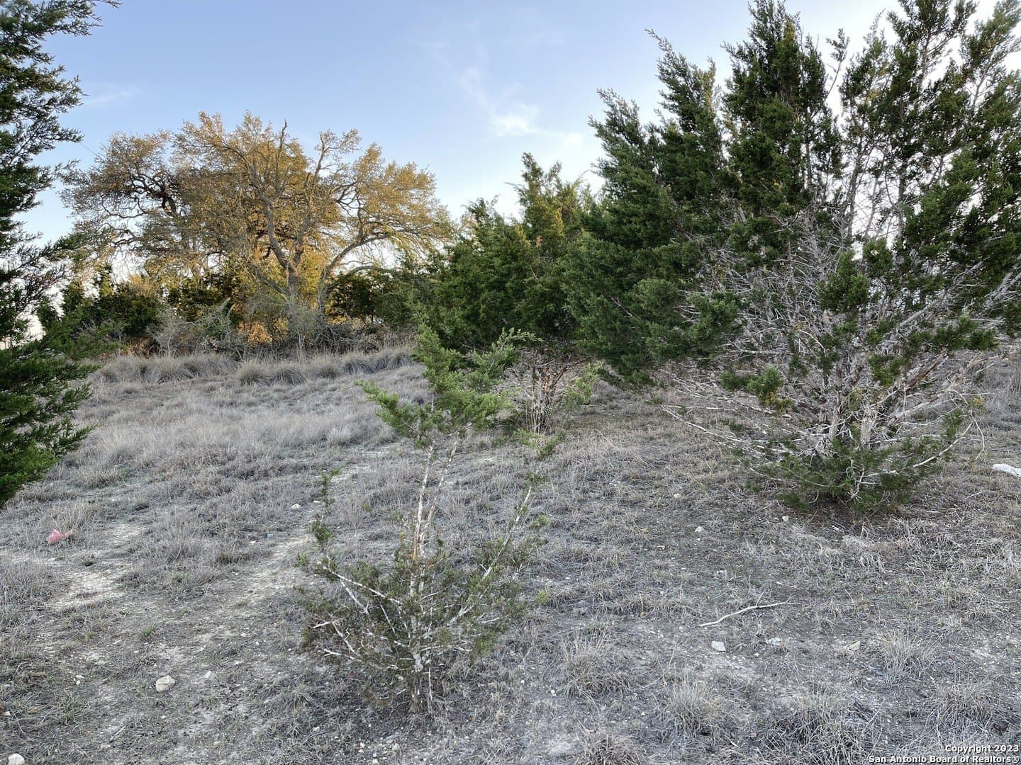 0.33 acres in Blanco County - photo 6