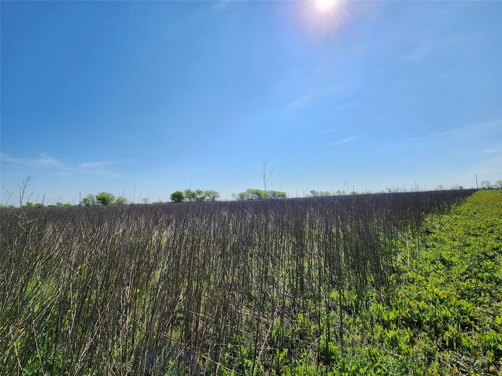 10.11 acres in Hill County gallery image 4