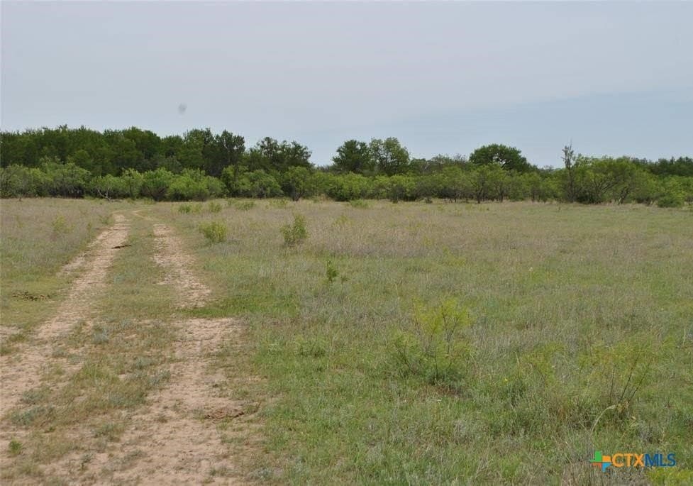 10.02 acres in Comanche County gallery image 3