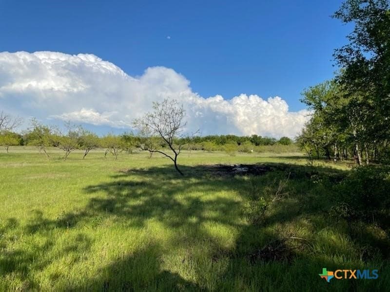 10.02 acres in Comanche County gallery image 4
