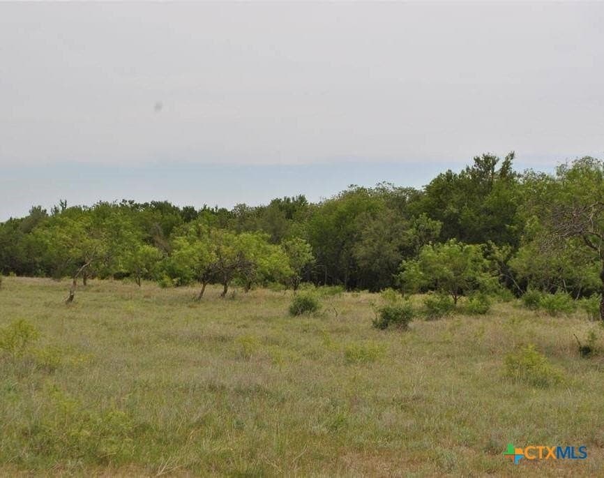 10.02 acres in Comanche County featured view