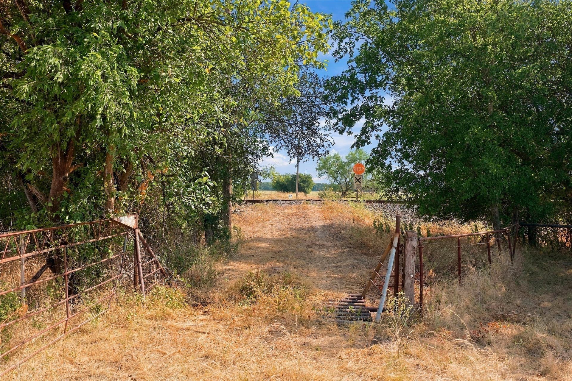44 acres in Bosque County - photo 20