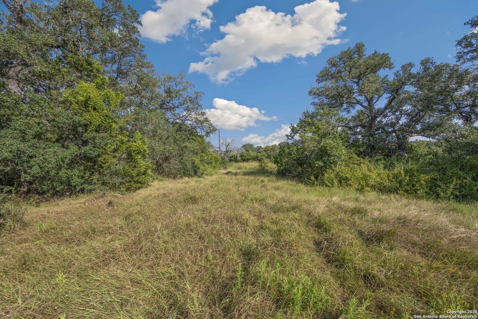 10.65 acres in Comal County featured view