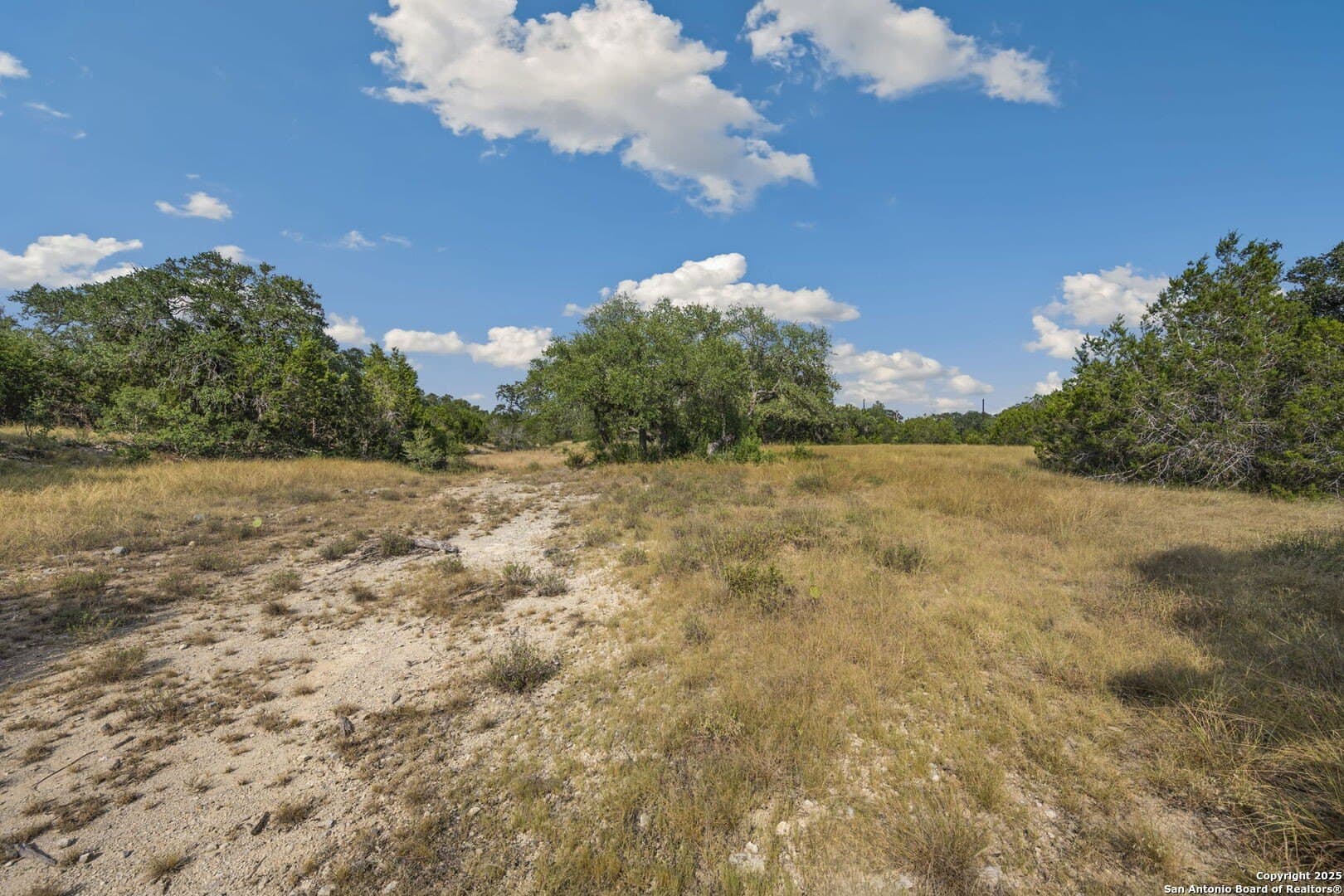 10.65 acres in Comal County gallery image 4
