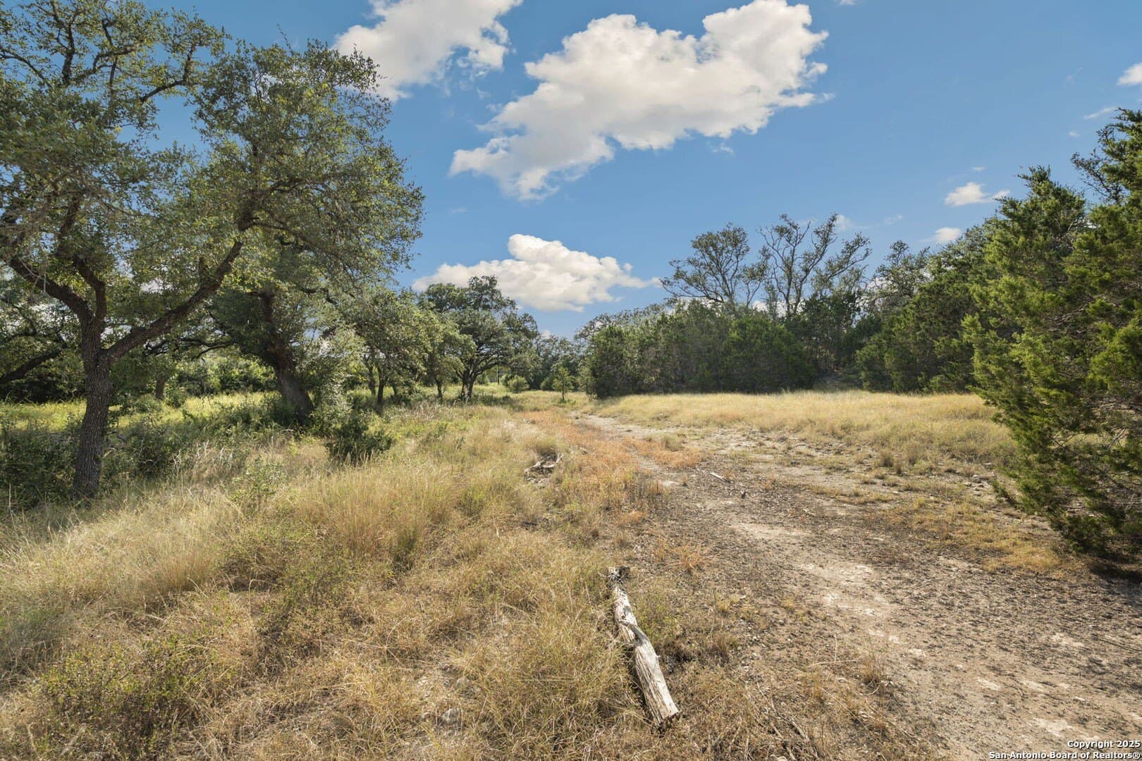 10.65 acres in Comal County gallery image 2