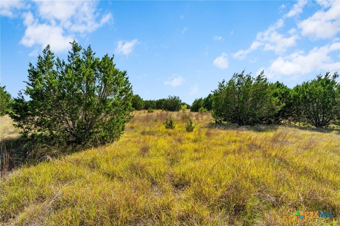 5.02 acres in Burnet County - photo 15
