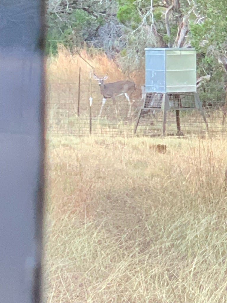 30.19 acres in Kerr County featured view