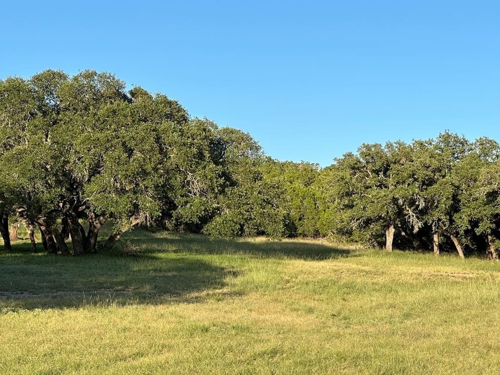 30.19 acres in Kerr County - photo 6