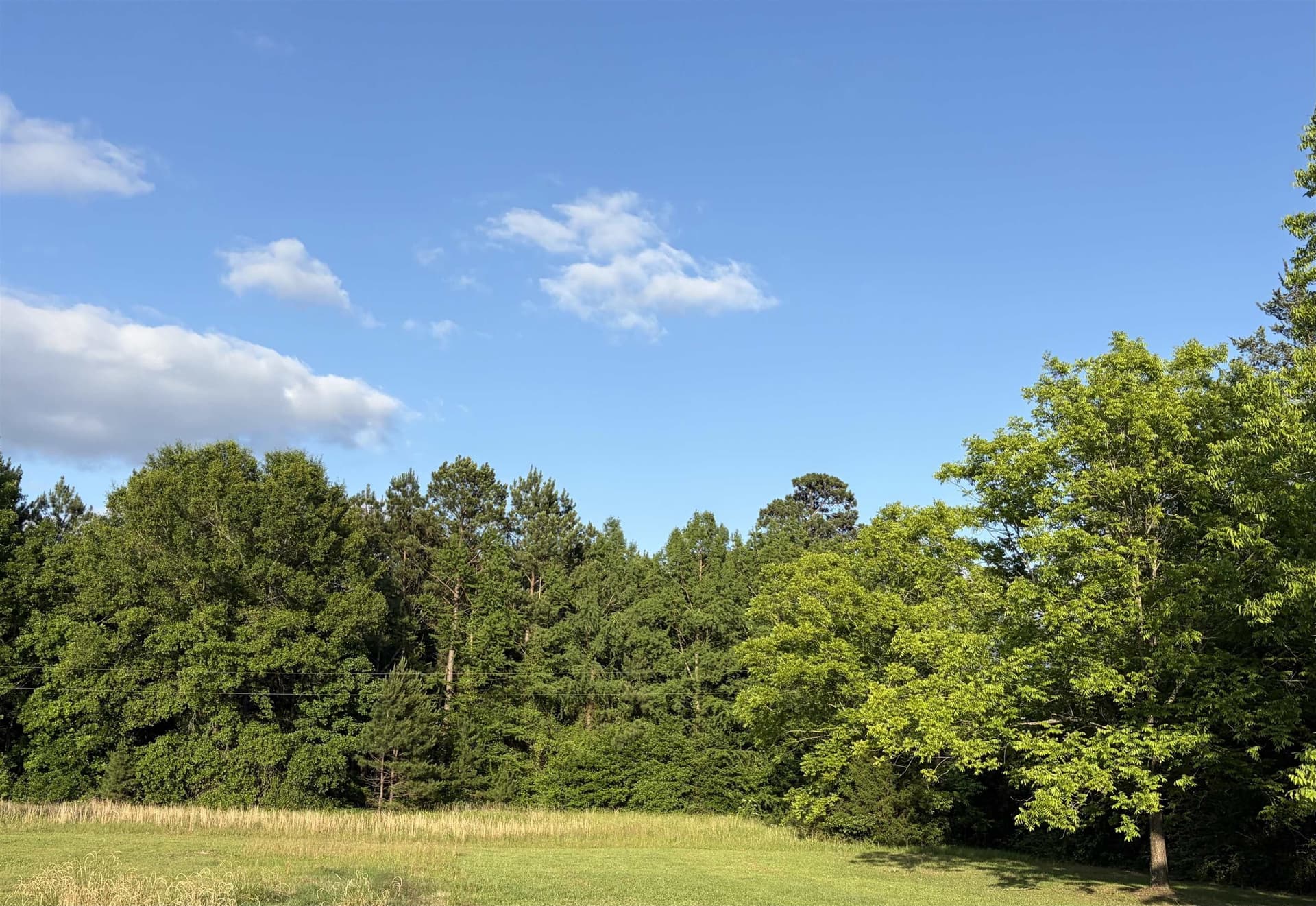 1 acres in Texas County featured view