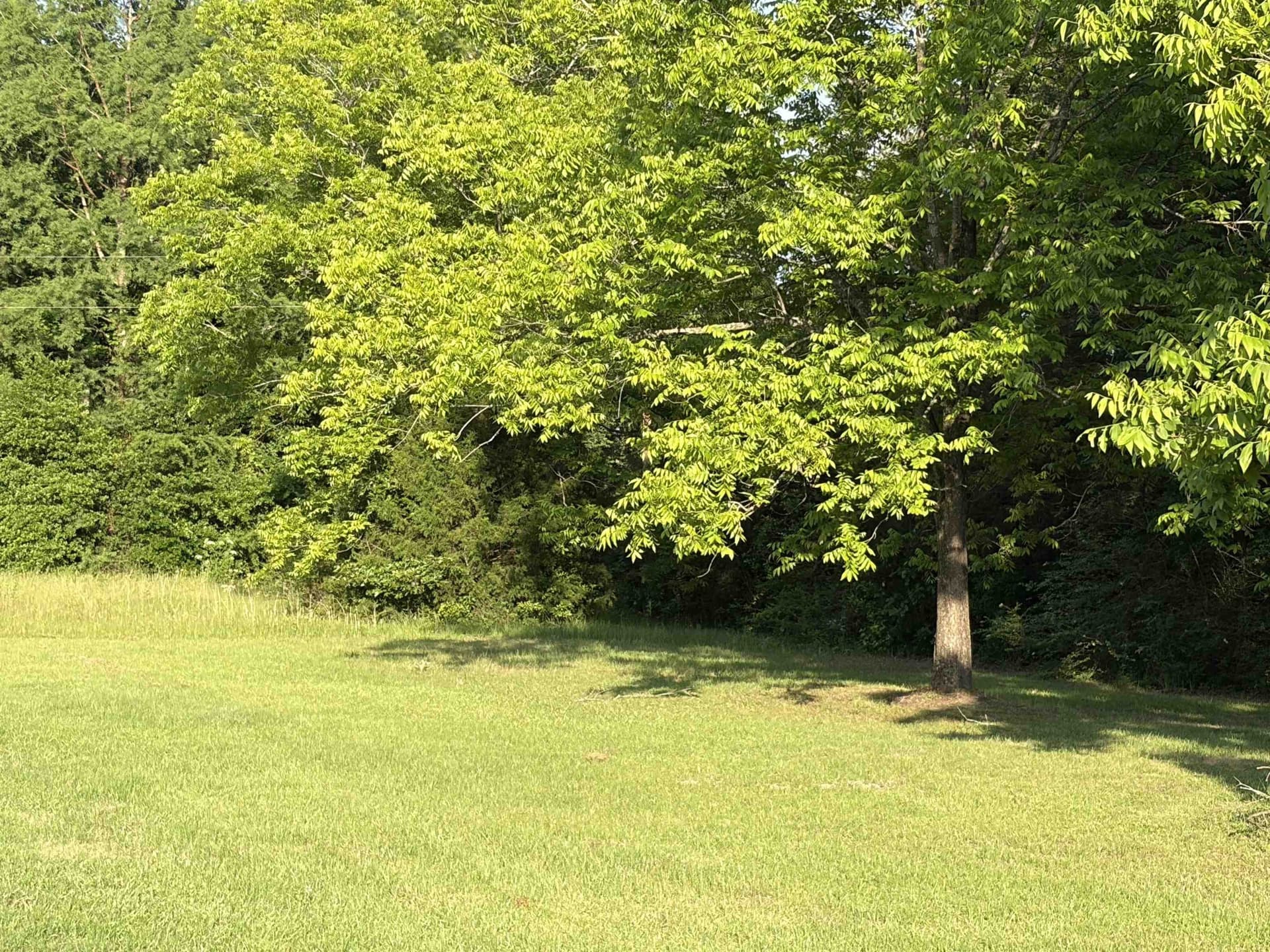 1 acres in Texas County gallery image 3