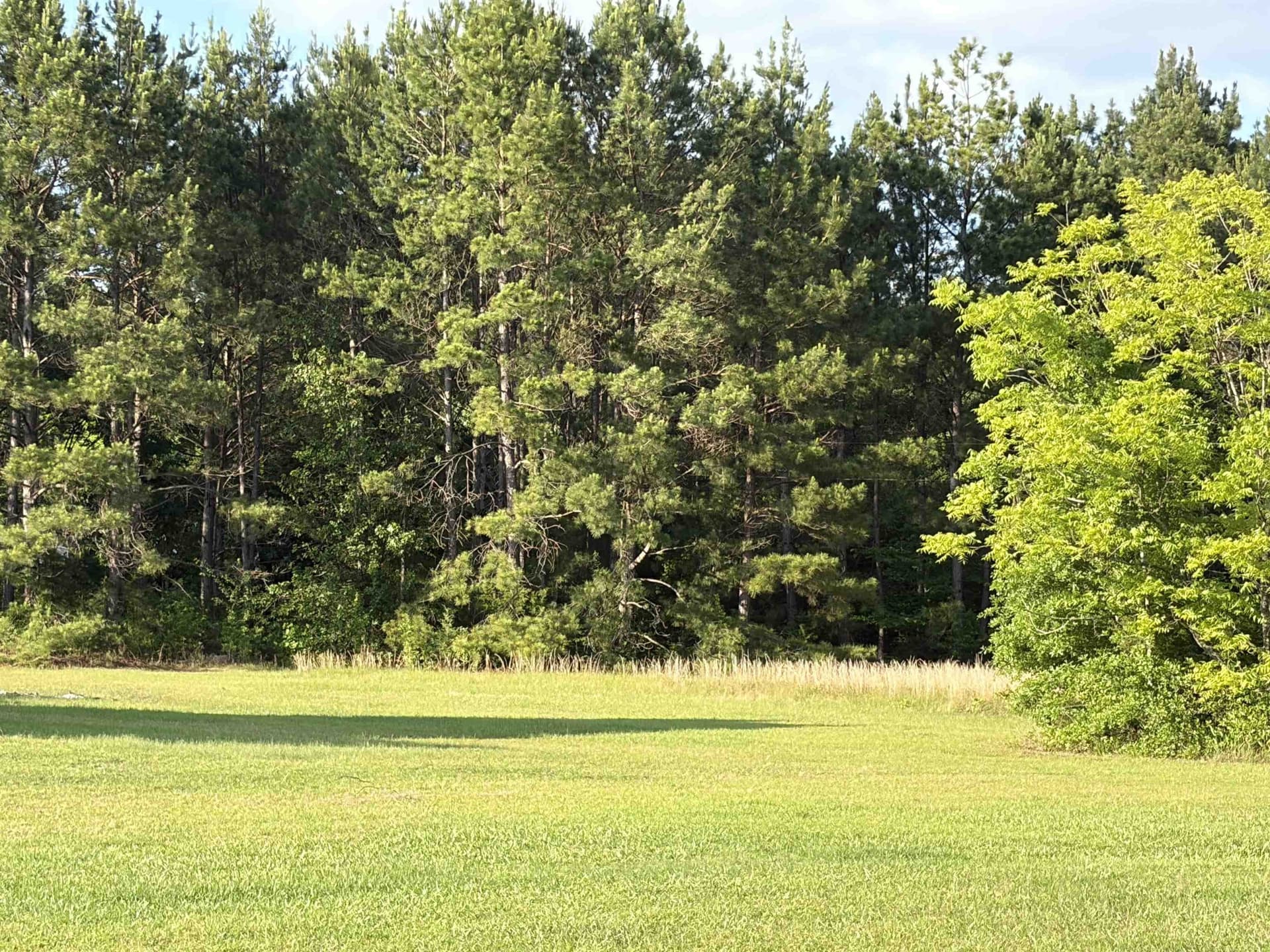1 acres in Texas County gallery image 4