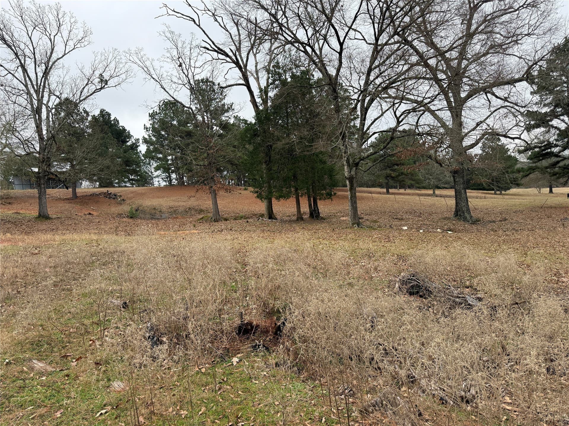 5.56 acres in Smith County gallery image 3