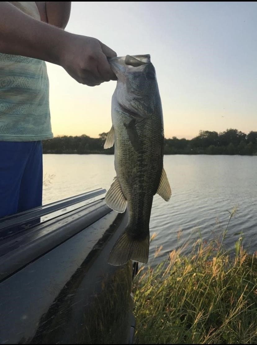 17.2 acres in Texas County gallery image 3