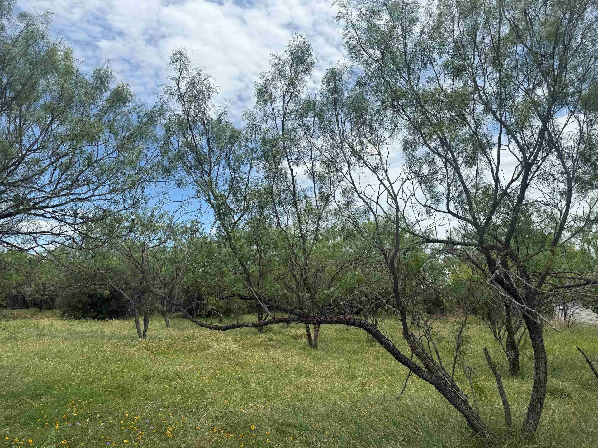 0.11 acres in Llano County gallery image 2