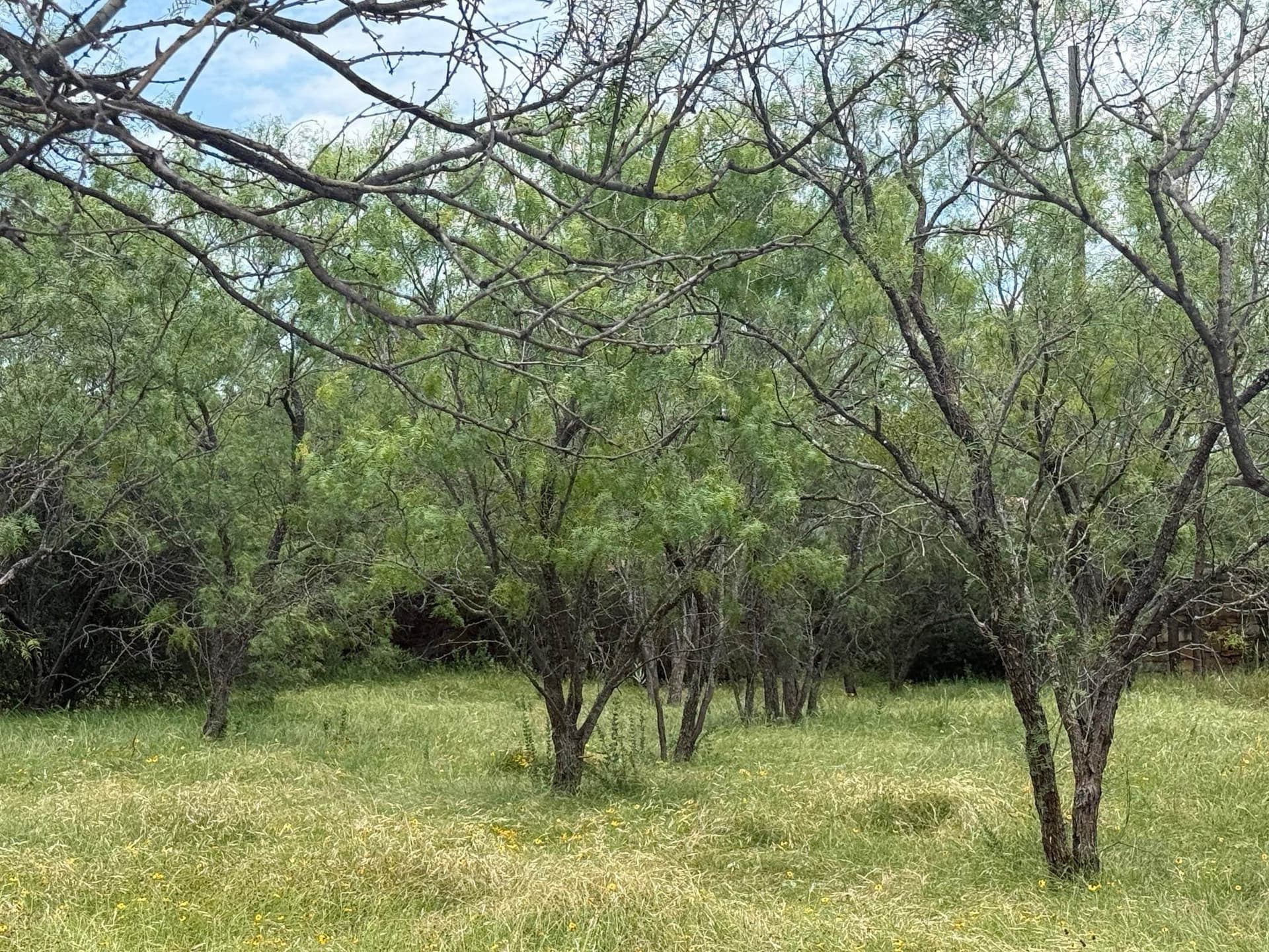 0.11 acres in Llano County gallery image 3
