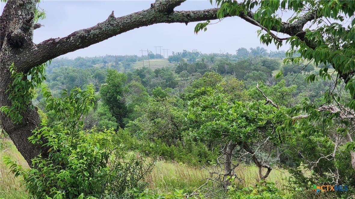 5.23 acres in Gillespie County - photo 3