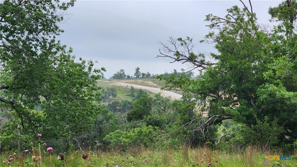 5.23 acres in Gillespie County - photo 5
